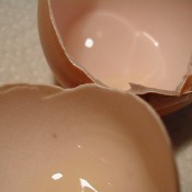 Empty Eggshells by wiccked http://www.flickr.com/photos/wiccked/with/49161322/